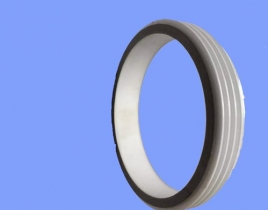 Alumina ceramic ring  SCR