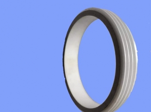 Alumina ceramic ring  SCR